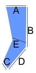 pic1-noga-1.jpg