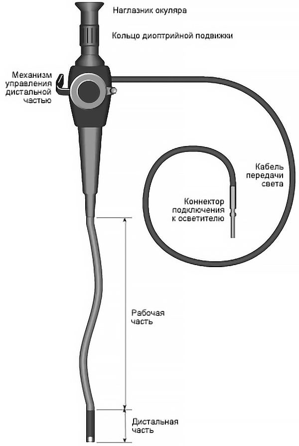 Подключиться эндоскоп. Схема жесткого эндоскопа. Технический эндоскоп схема. Схема строения камеры эндоскопа. Гибкий эндоскоп медицинский строение.