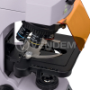 Микроскоп люминесцентный MAGUS Lum 450L