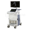 Аппарат УЗИ (сканер) GE Healthcare Voluson E10 RSA