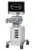 Аппарат УЗИ (сканер) Siemens Healthineers Acuson NX2