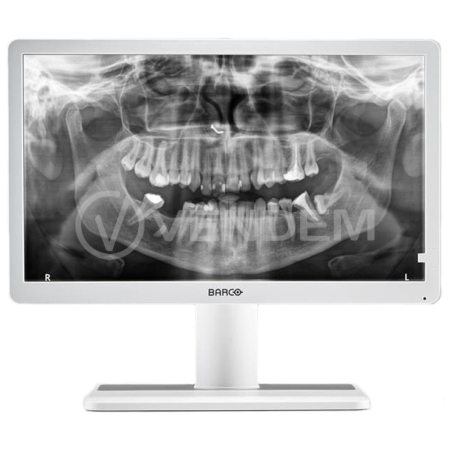 Медицинский монитор Barco Eonis 22" (MDRC-2222 Option WP) Dental