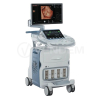 Аппарат УЗИ (сканер) GE Healthcare Voluson E10 RSA